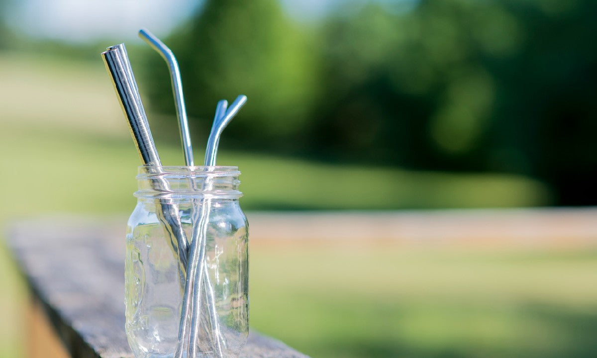 Stainless Steel Straws 10.5" Reusable Drinking Straws