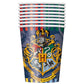 Customized Harry Potter Party Packages - General Wholesale Direct