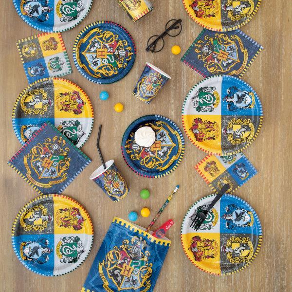 Customized Harry Potter Party Packages - General Wholesale Direct
